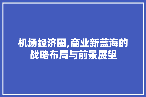 机场经济圈,商业新蓝海的战略布局与前景展望