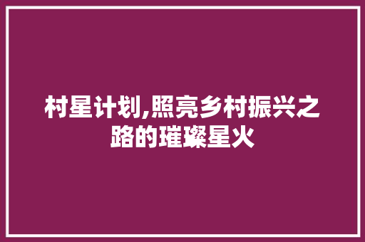 村星计划,照亮乡村振兴之路的璀璨星火