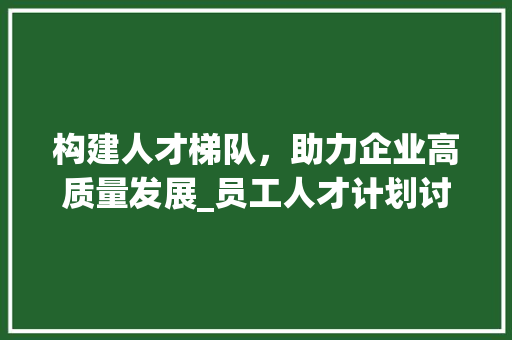 构建人才梯队，助力企业高质量发展_员工人才计划讨论