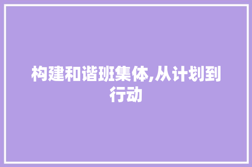 构建和谐班集体,从计划到行动