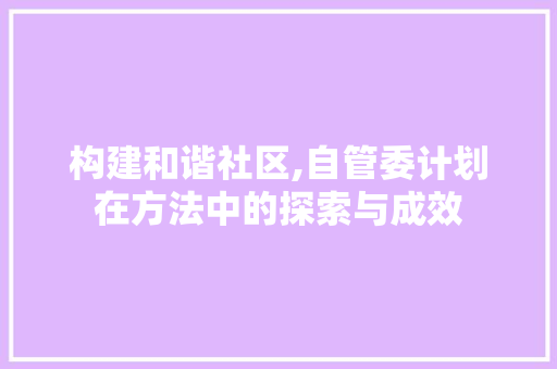 构建和谐社区,自管委计划在方法中的探索与成效