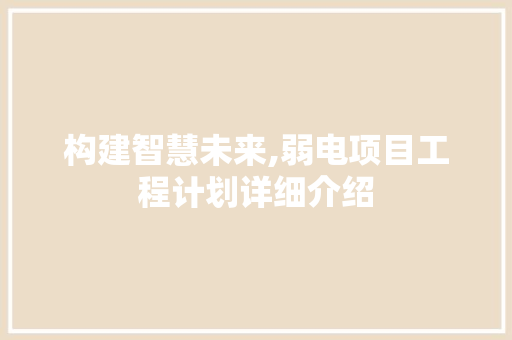 构建智慧未来,弱电项目工程计划详细介绍