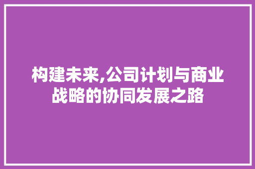 构建未来,公司计划与商业战略的协同发展之路