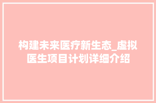 构建未来医疗新生态_虚拟医生项目计划详细介绍 工作总结范文