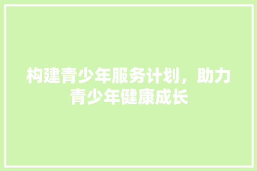 构建青少年服务计划，助力青少年健康成长