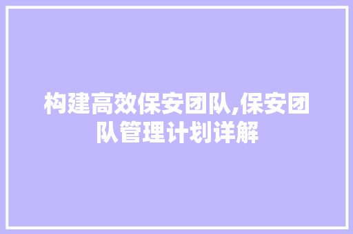 构建高效保安团队,保安团队管理计划详解