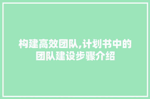 构建高效团队,计划书中的团队建设步骤介绍