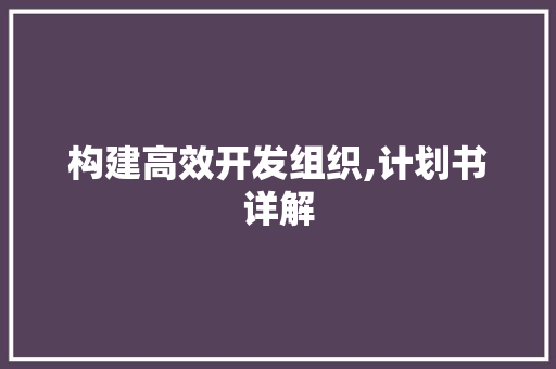 构建高效开发组织,计划书详解