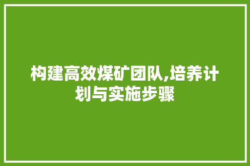 构建高效煤矿团队,培养计划与实施步骤