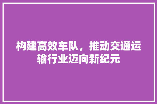 构建高效车队，推动交通运输行业迈向新纪元