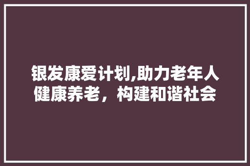 银发康爱计划,助力老年人健康养老，构建和谐社会