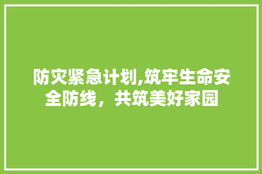 防灾紧急计划,筑牢生命安全防线，共筑美好家园