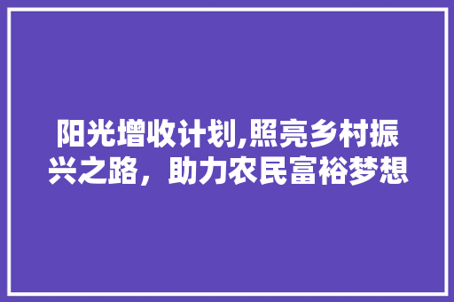 阳光增收计划,照亮乡村振兴之路，助力农民富裕梦想成真