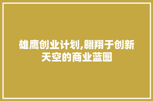 雄鹰创业计划,翱翔于创新天空的商业蓝图