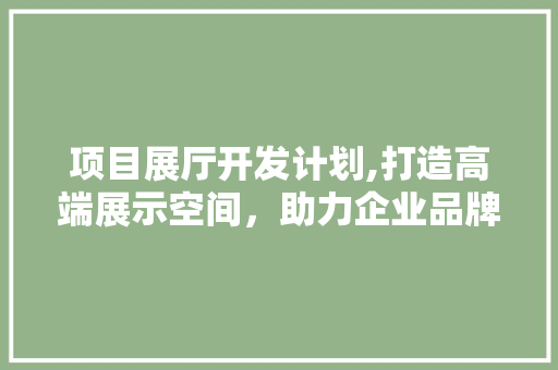 项目展厅开发计划,打造高端展示空间，助力企业品牌形象升级