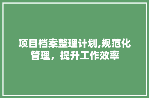 项目档案整理计划,规范化管理，提升工作效率