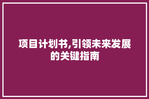 项目计划书,引领未来发展的关键指南