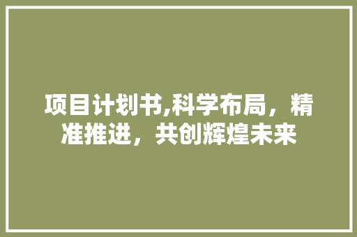 项目计划书,科学布局，精准推进，共创辉煌未来