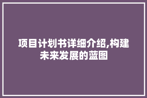 项目计划书详细介绍,构建未来发展的蓝图