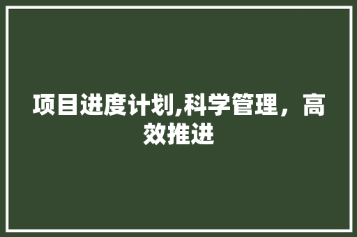 项目进度计划,科学管理，高效推进