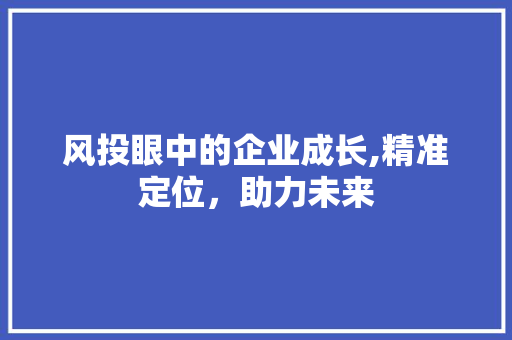 风投眼中的企业成长,精准定位，助力未来