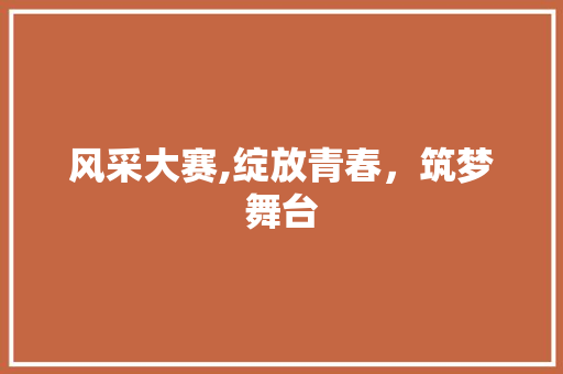 风采大赛,绽放青春，筑梦舞台