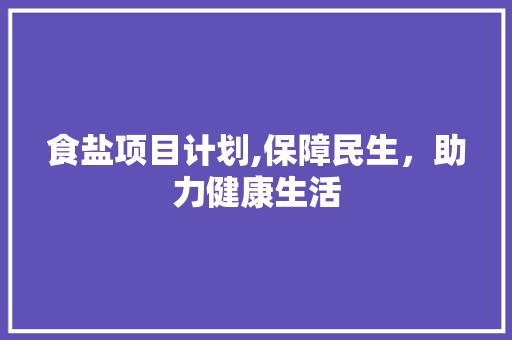 食盐项目计划,保障民生，助力健康生活