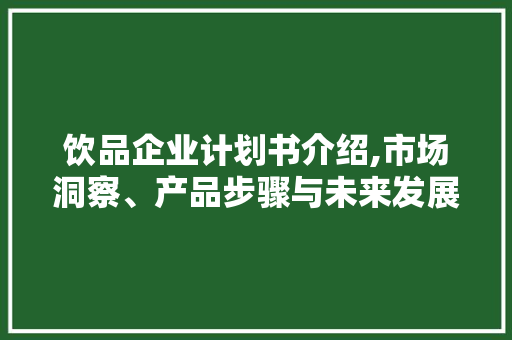 饮品企业计划书介绍,市场洞察、产品步骤与未来发展