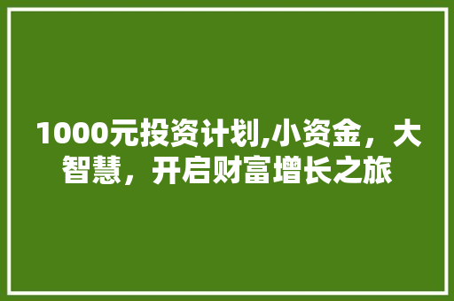 1000元投资计划,小资金，大智慧，开启财富增长之旅 工作总结范文