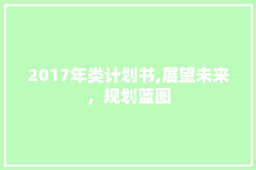 2017年类计划书,展望未来，规划蓝图