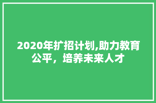 2020年扩招计划,助力教育公平，培养未来人才