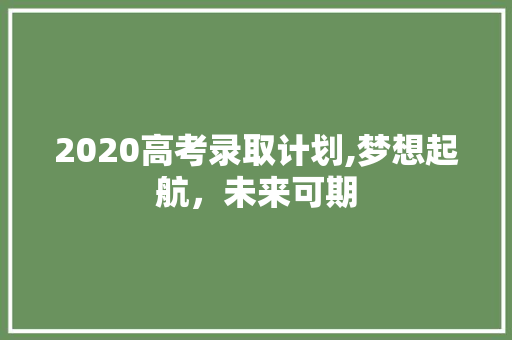 2020高考录取计划,梦想起航，未来可期