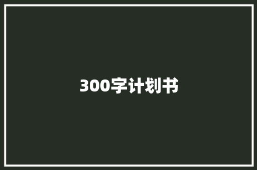 300字计划书