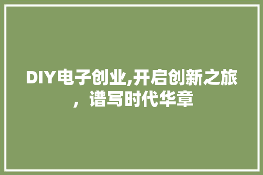 DIY电子创业,开启创新之旅，谱写时代华章