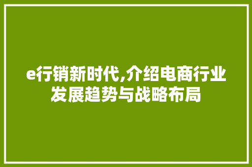 e行销新时代,介绍电商行业发展趋势与战略布局