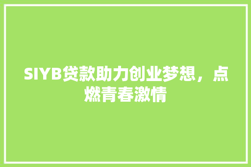 SIYB贷款助力创业梦想，点燃青春激情 会议纪要范文