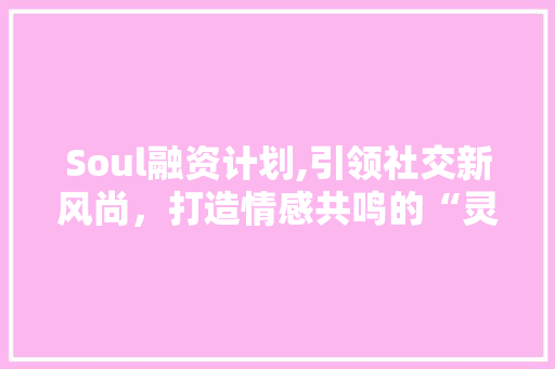 Soul融资计划,引领社交新风尚，打造情感共鸣的“灵魂之港”