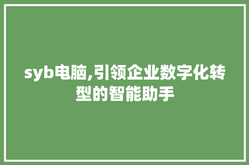 syb电脑,引领企业数字化转型的智能助手