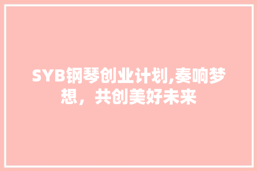 SYB钢琴创业计划,奏响梦想，共创美好未来