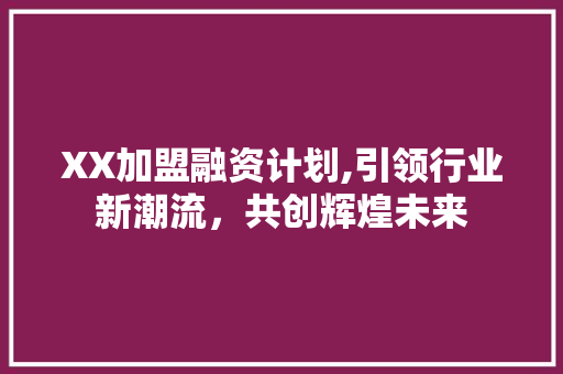 XX加盟融资计划,引领行业新潮流，共创辉煌未来