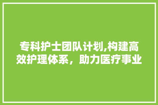 专科护士团队计划,构建高效护理体系，助力医疗事业发展