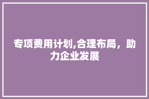 专项费用计划,合理布局，助力企业发展