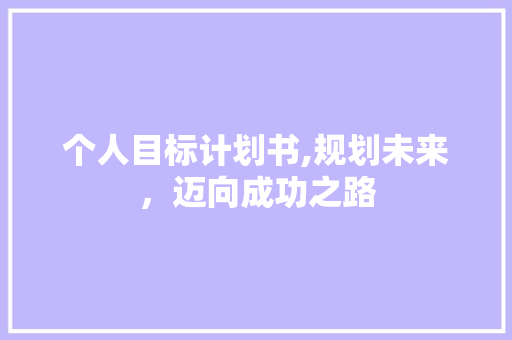 个人目标计划书,规划未来，迈向成功之路