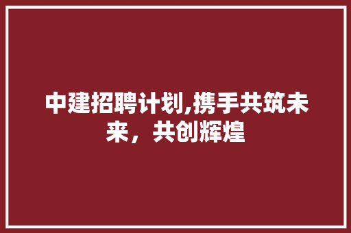 中建招聘计划,携手共筑未来，共创辉煌