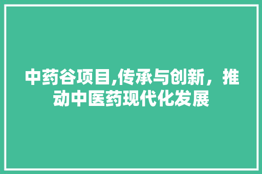 中药谷项目,传承与创新，推动中医药现代化发展