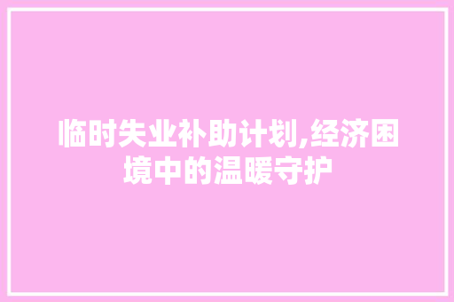 临时失业补助计划,经济困境中的温暖守护