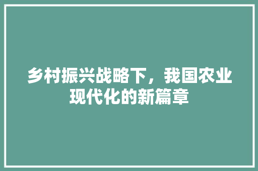 乡村振兴战略下，我国农业现代化的新篇章 致辞范文