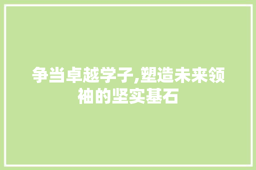 争当卓越学子,塑造未来领袖的坚实基石