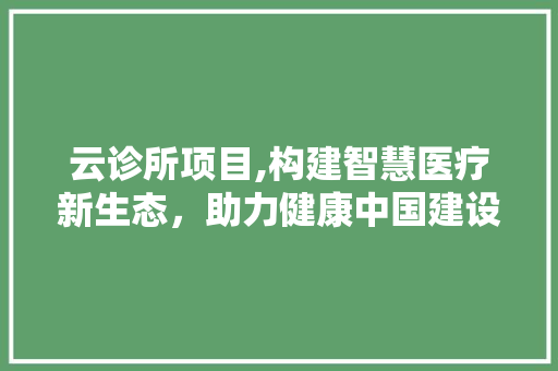 云诊所项目,构建智慧医疗新生态，助力健康中国建设