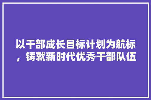 以干部成长目标计划为航标，铸就新时代优秀干部队伍